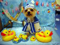 �Z�[���[�}���̑���ł��B�����ł��ˁI